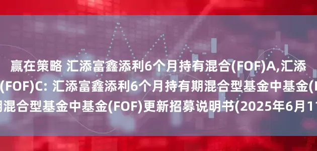 赢在策略 汇添富鑫添利6个月持有混合(FOF)A,汇添富鑫添利6个月持有混合(FOF)C: 汇添富鑫添利6个月持有期混合型基金中基金(FOF)更新招募说明书(2025年6月11日更新)