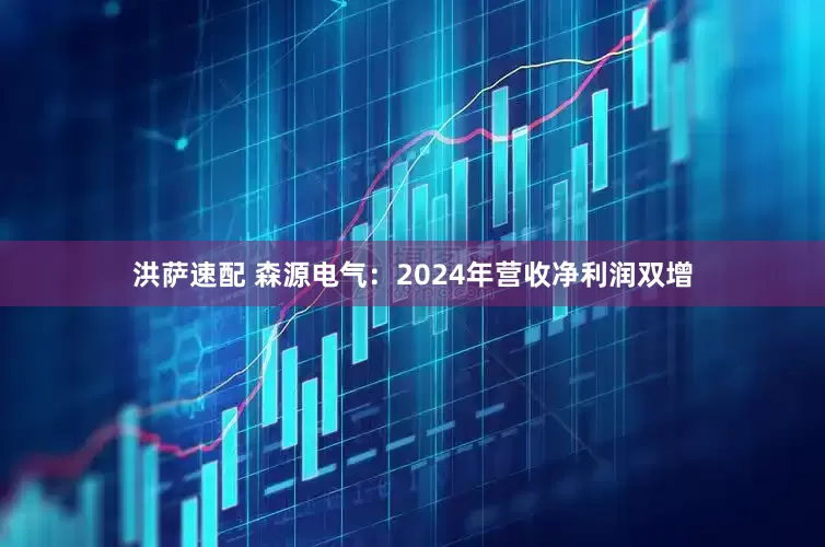 洪萨速配 森源电气：2024年营收净利润双增